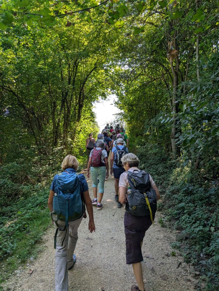 2025-08-18 Olten Dulliken Schoenenwerd-134