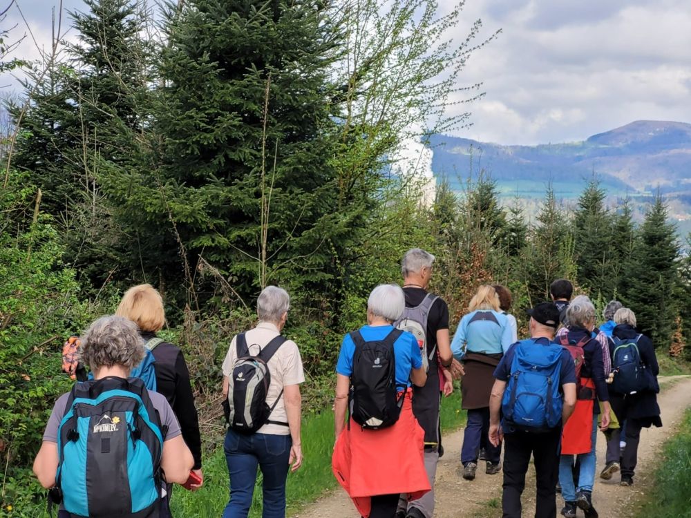 2025-04-14 Safenwil - Dulliken-109