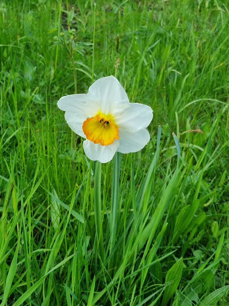 2025-04-14 Safenwil - Dulliken-119