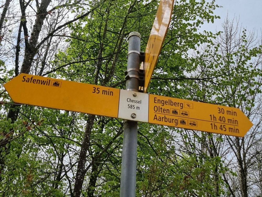 2025-04-14 Safenwil - Dulliken-118