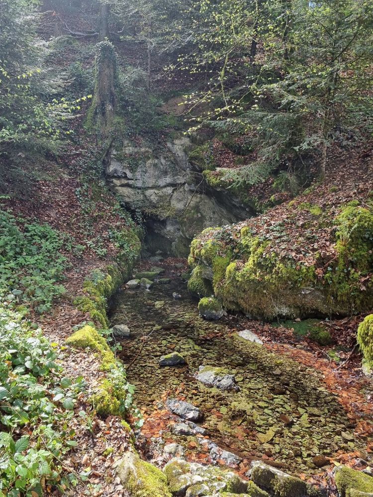 2025-04-14 Safenwil - Dulliken-122