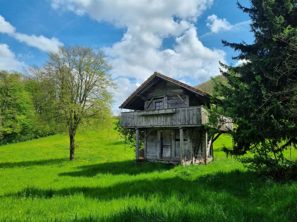 2025-04-14 Safenwil - Dulliken-140
