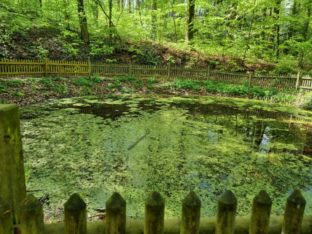 2025-04-14 Safenwil - Dulliken-141