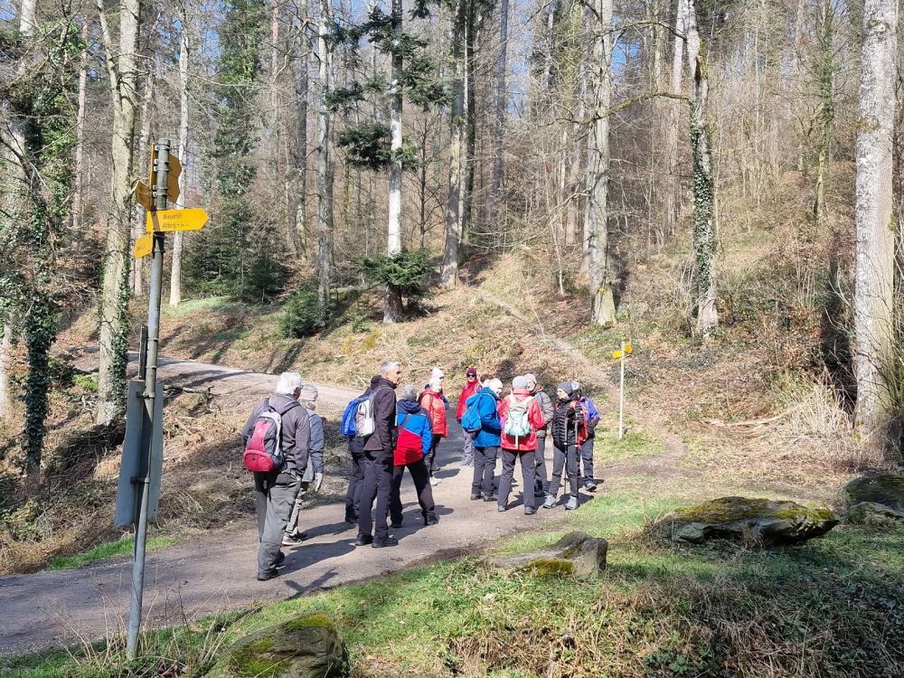 2025-03-17 Weiningen - Wuerenlos-105