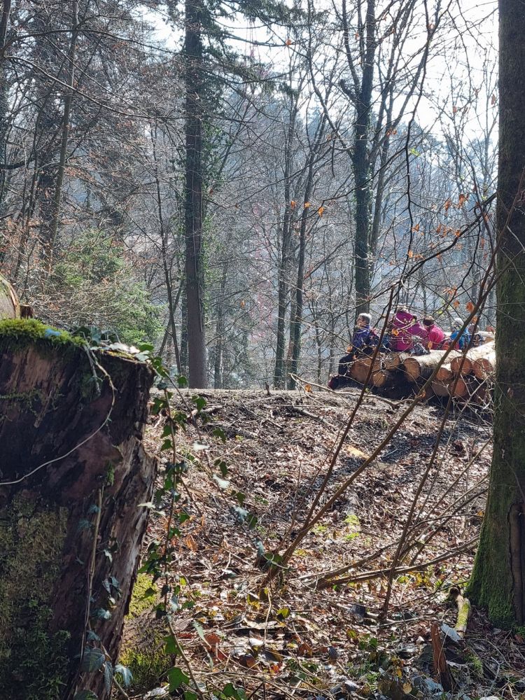 2025-03-17 Weiningen - Wuerenlos-110
