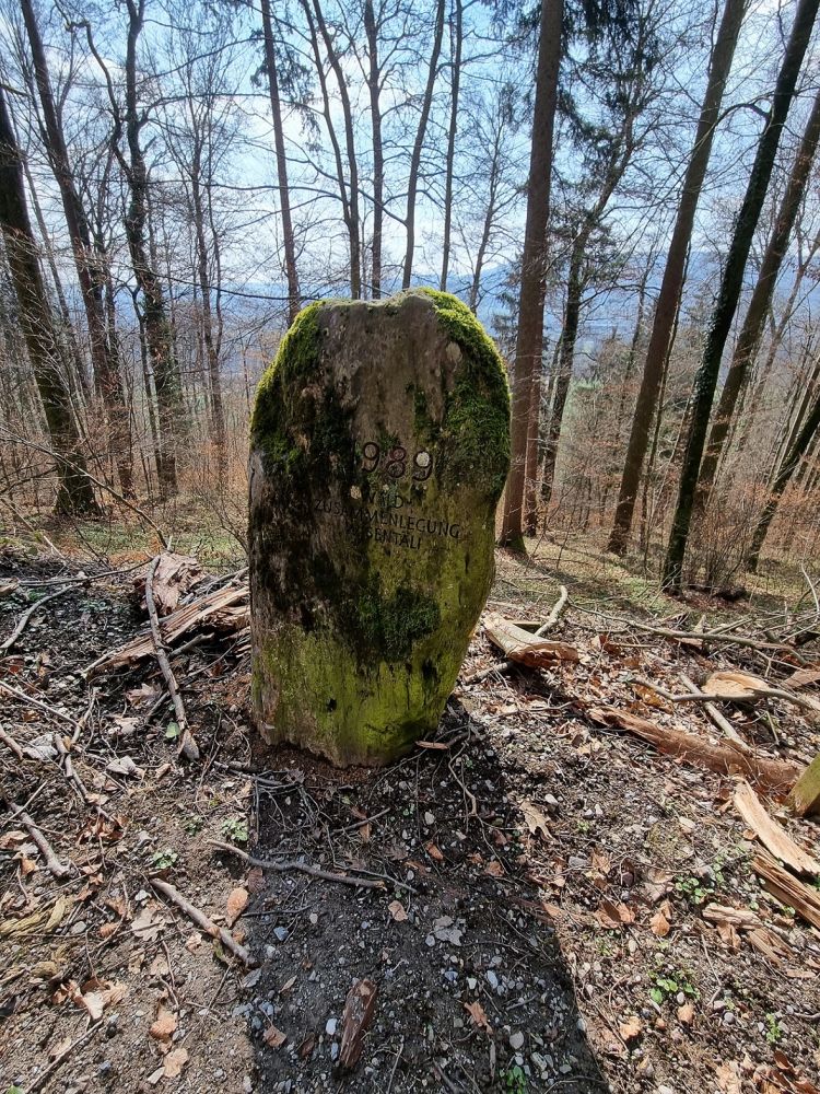 2025-03-17 Weiningen - Wuerenlos-113