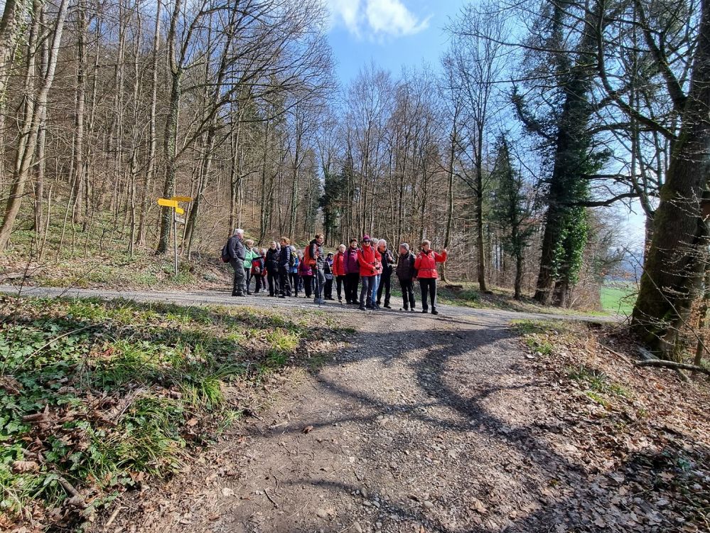2025-03-17 Weiningen - Wuerenlos-115