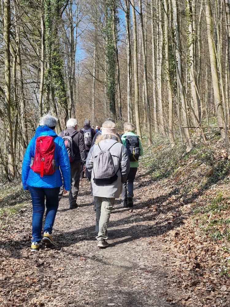 2025-03-17 Weiningen - Wuerenlos-117