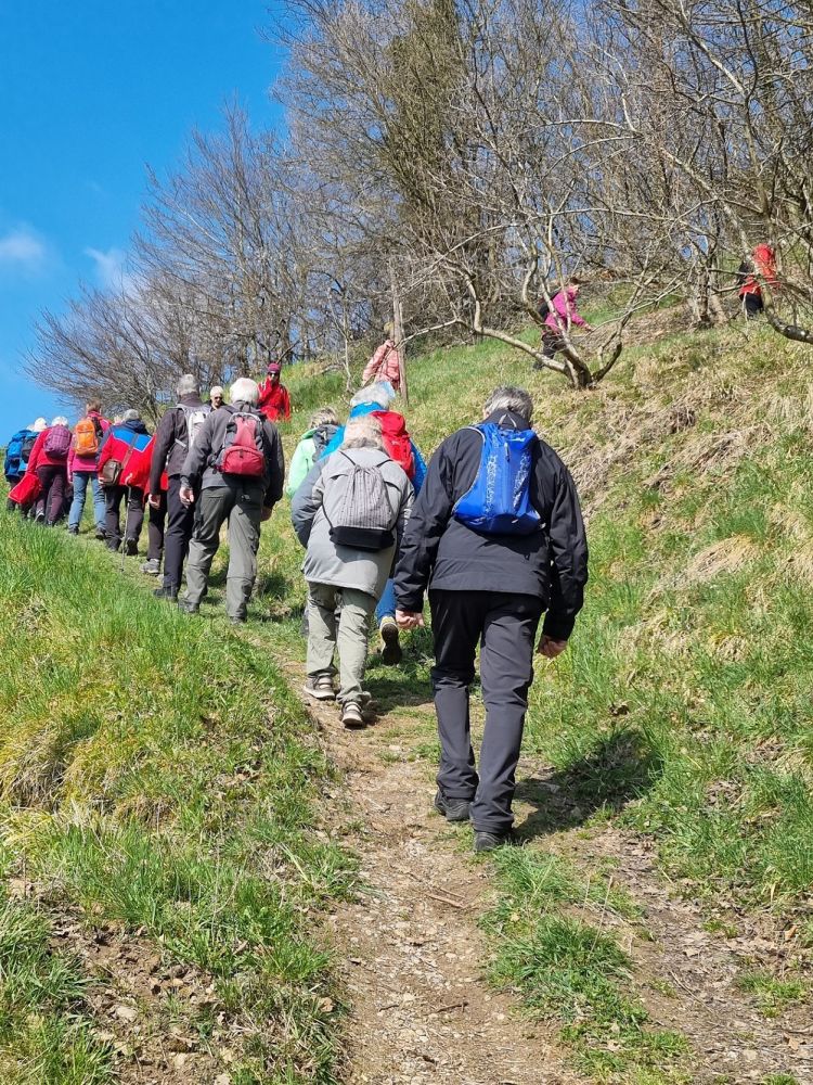 2025-03-17 Weiningen - Wuerenlos-124