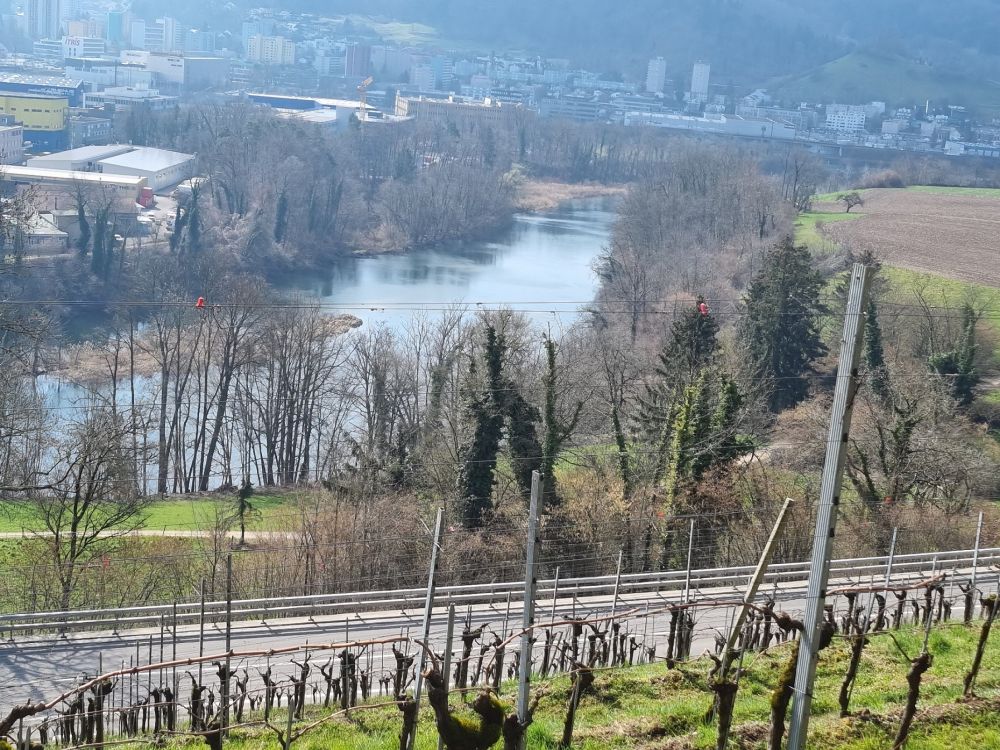 2025-03-17 Weiningen - Wuerenlos-125