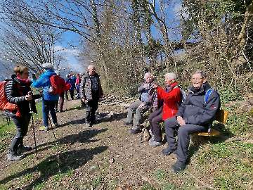 2025-03-17 Weiningen - Wuerenlos
