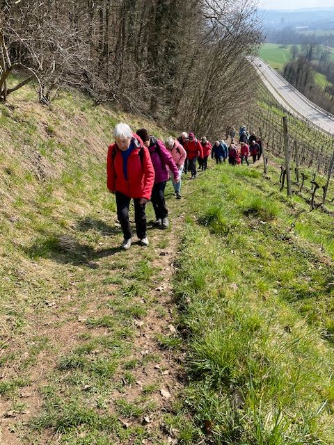2025-03-17 Weiningen - Wuerenlos-135