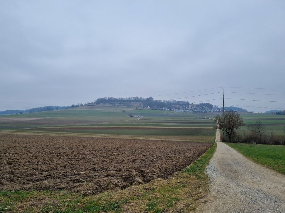 2025-02-17 Niederwenignen - Lengnau - Endingen-101