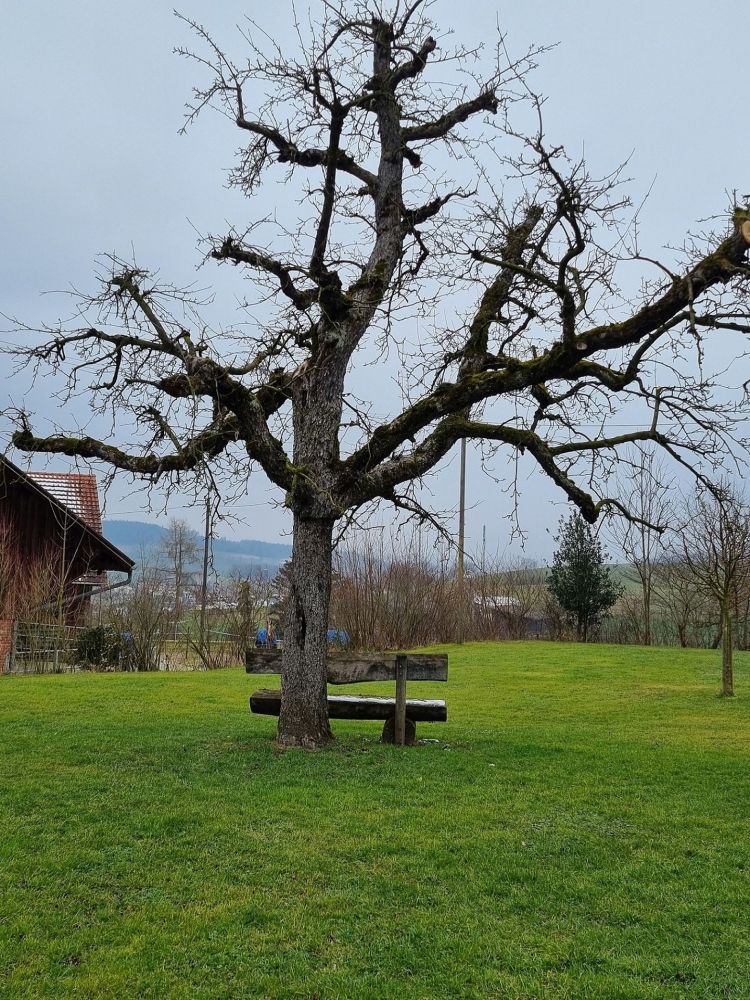 2025-02-17 Niederwenignen - Lengnau - Endingen-104