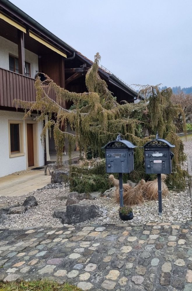 2025-02-17 Niederwenignen - Lengnau - Endingen-131
