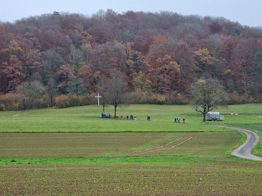 2025-11-10 Eiken - Oeschgen Frick-100