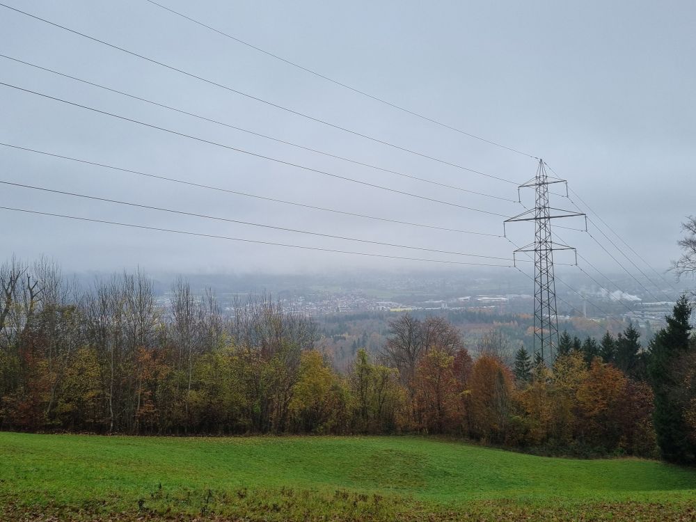 2025-11-10 Eiken - Oeschgen Frick-106