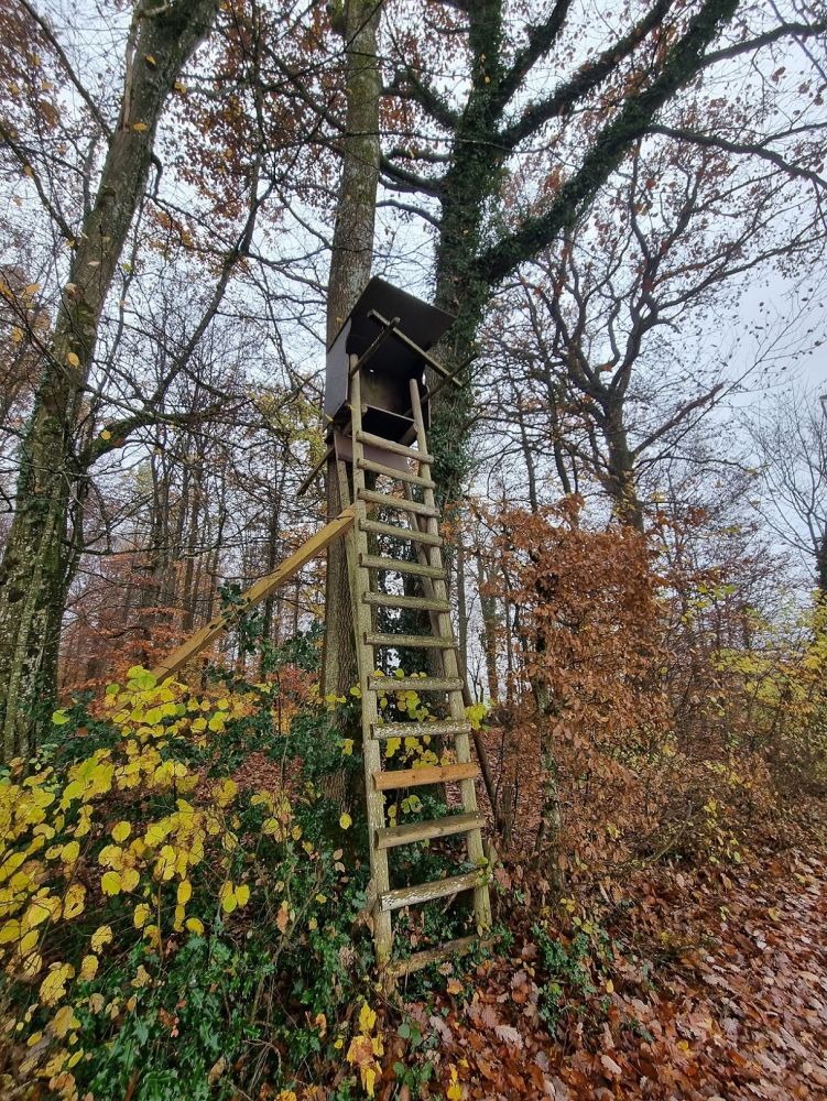2025-11-10 Eiken - Oeschgen Frick-108