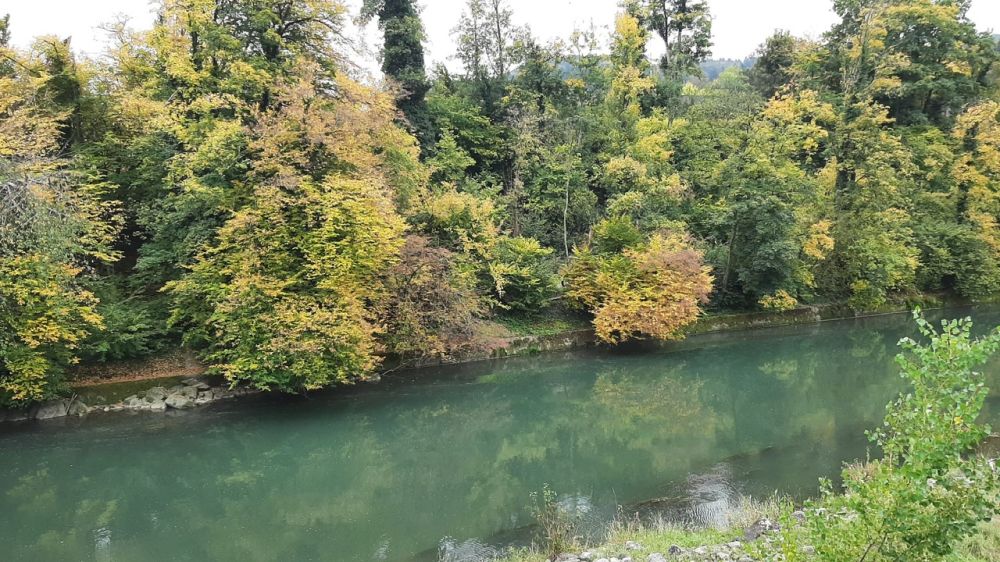 2025-10-13 Baden - Wettingen-135