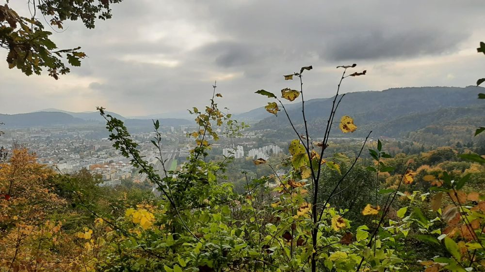 2025-10-13 Baden - Wettingen-142