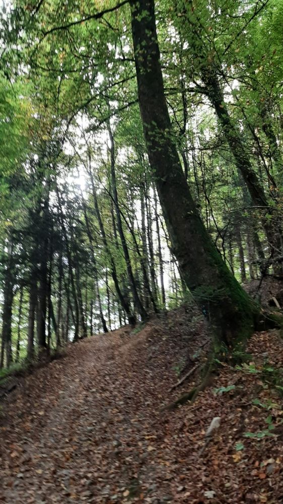 2025-10-13 Baden - Wettingen-145