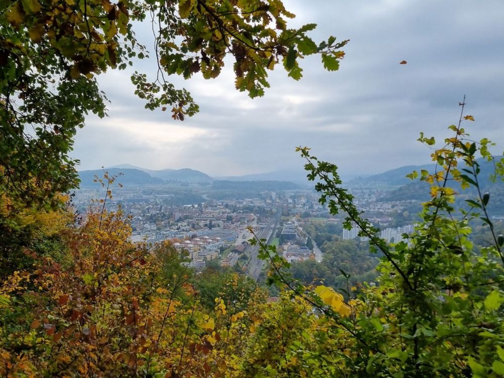 2025-10-13 Baden - Wettingen-205