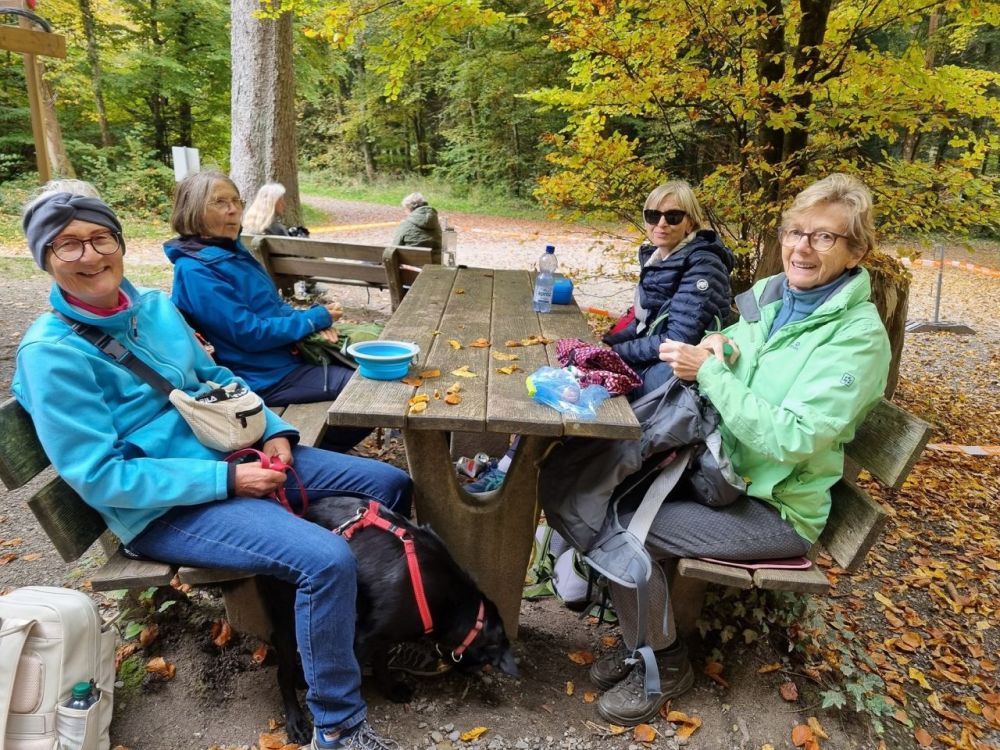 2025-10-13 Baden - Wettingen-210