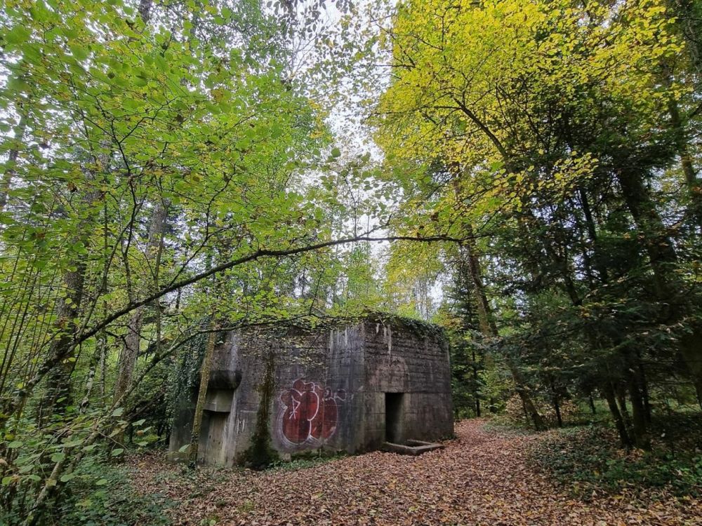 2025-10-13 Baden - Wettingen-214