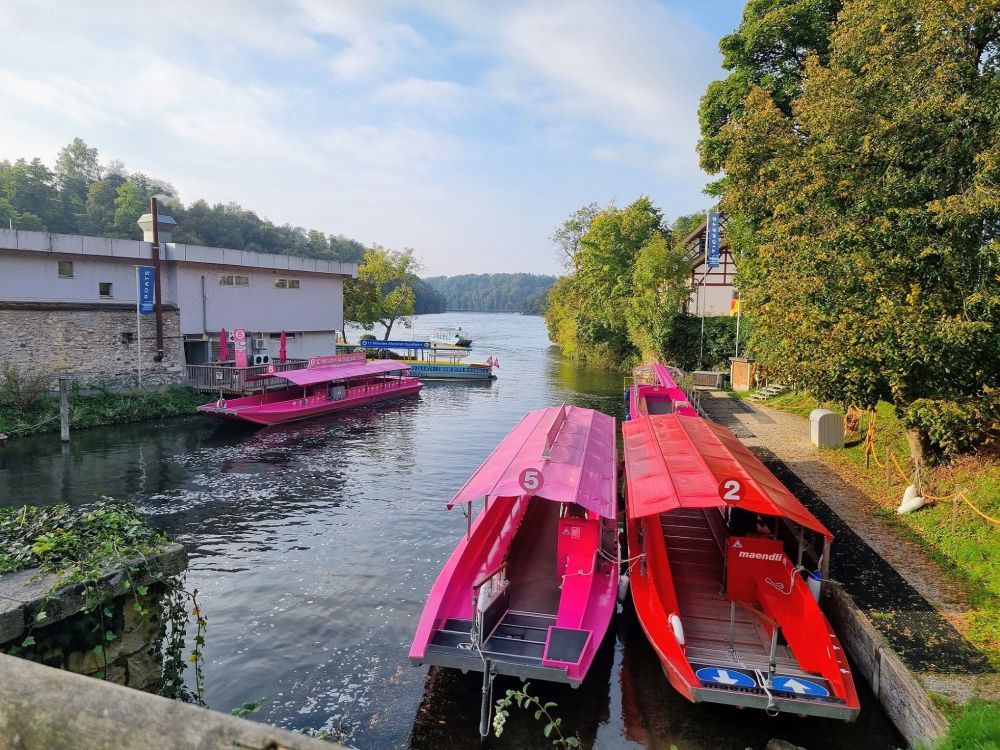 2025-09-29 Herbstausflug Rheinfall-Schaffhausen-Stein AR-104