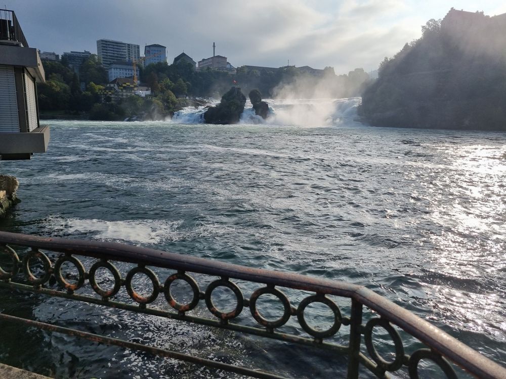 2025-09-29 Herbstausflug Rheinfall-Schaffhausen-Stein AR-106