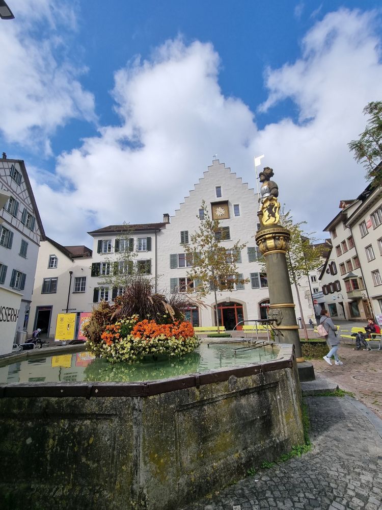 2025-09-29 Herbstausflug Rheinfall-Schaffhausen-Stein AR-122