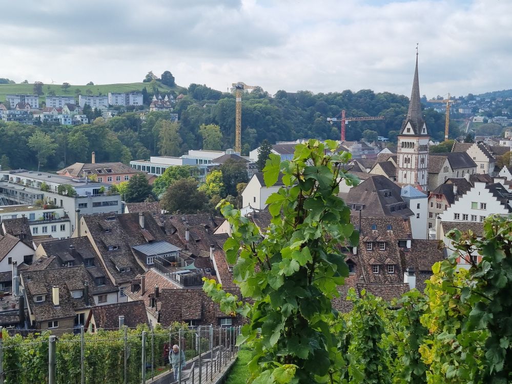 2025-09-29 Herbstausflug Rheinfall-Schaffhausen-Stein AR-135