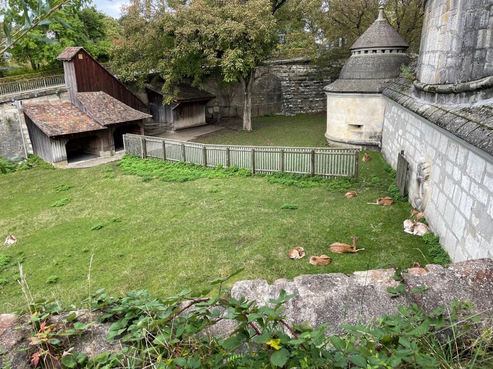 2025-09-29 Herbstausflug Rheinfall-Schaffhausen-Stein AR-140