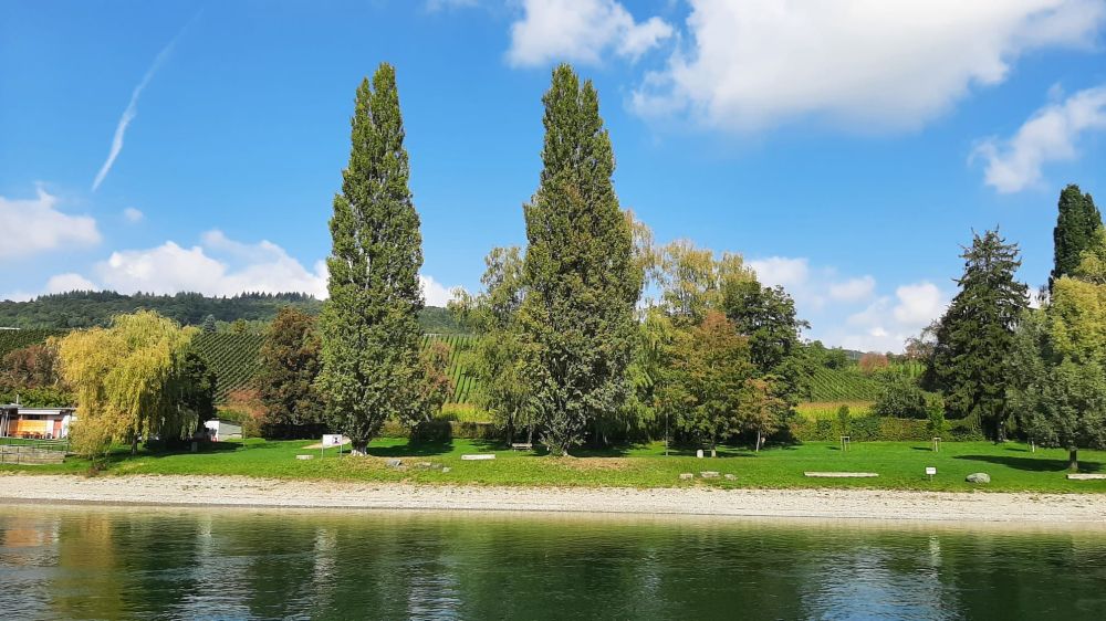 2025-09-29 Herbstausflug Rheinfall-Schaffhausen-Stein AR-146