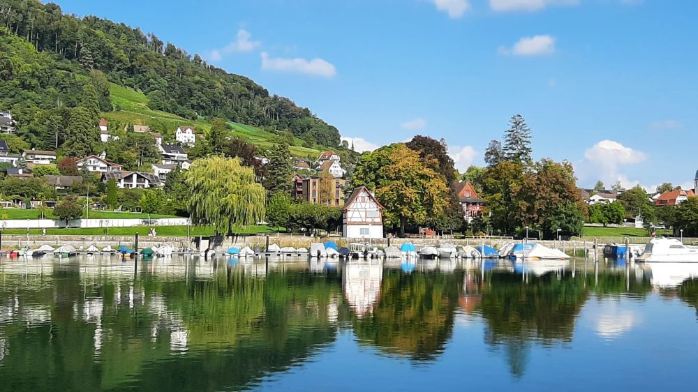 2025-09-29 Herbstausflug Rheinfall-Schaffhausen-Stein AR-148