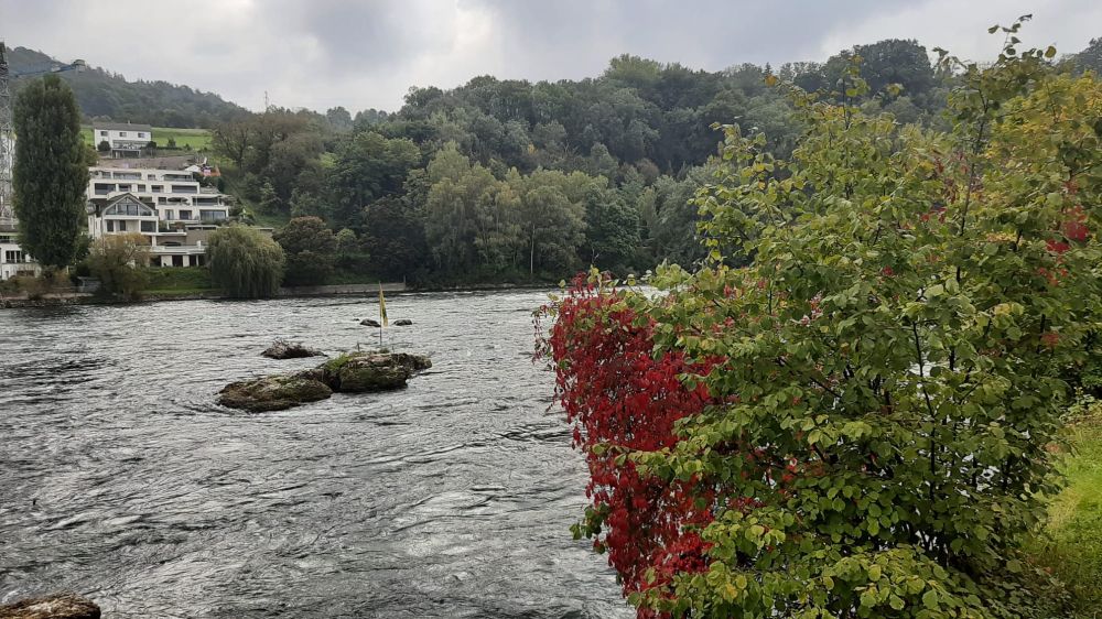 2025-09-29 Herbstausflug Rheinfall-Schaffhausen-Stein AR-150
