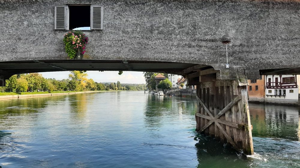2025-09-29 Herbstausflug Rheinfall-Schaffhausen-Stein AR-151