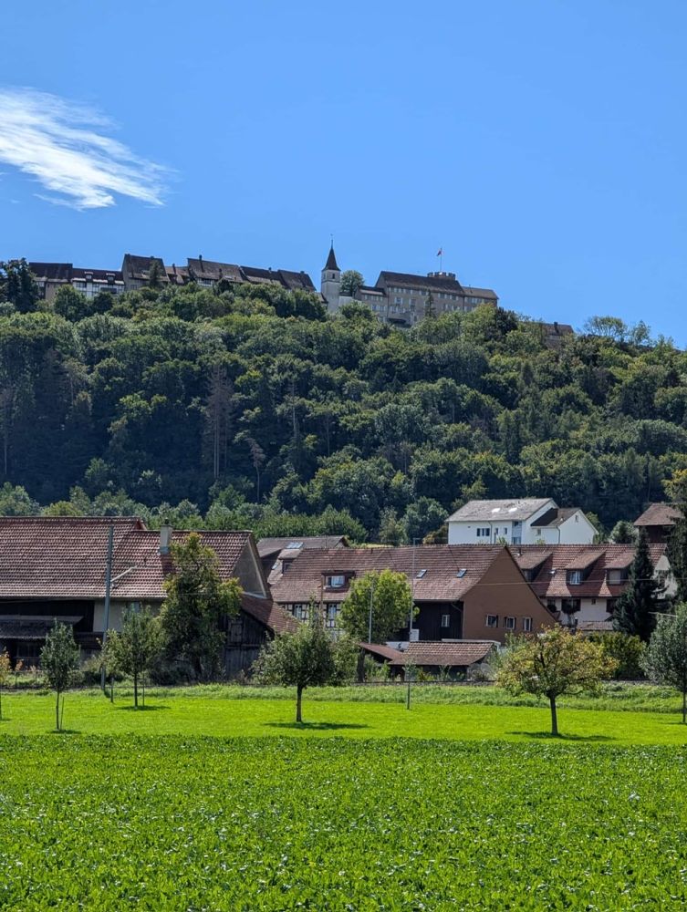 2025-09-15 Niederweningen Schoefflisdorf-Niederglatt-106